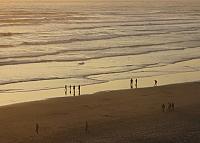 IMG 0767 - Copy
