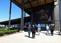 IMG 0783 - Copy