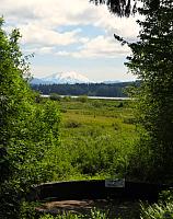 IMG 0842 - Copy