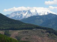 IMG 0847