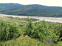 IMG 0852