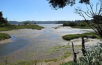 IMG 0956