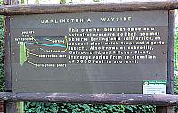 IMG 0978