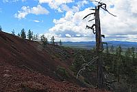 IMG 1049