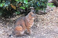 IMG 1061-01
