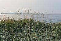 IMG 1262
