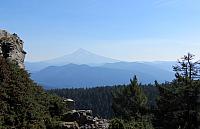 IMG 1462
