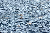 IMG 1678