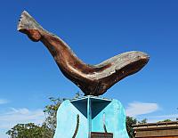 IMG 1717