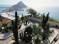 IMG 1899