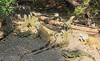 IMG 2024