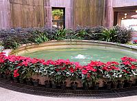 IMG 1827