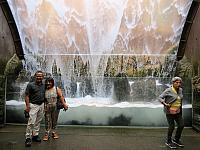 IMG 1852
