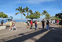 IMG 1978