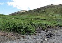 IMG 2605