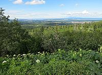 IMG 2618