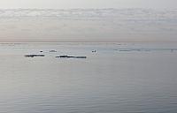 IMG 2490