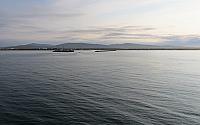 IMG 2459