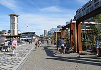 IMG 2979