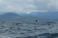 IMG 2258