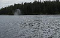 IMG 2274