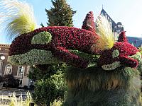 IMG 3011