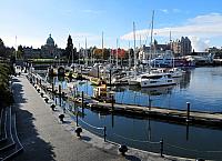 IMG 3012