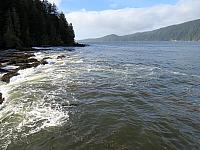 IMG 3042