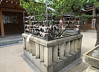 IMG 3521