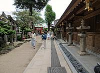 IMG 3536