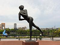 IMG 3568