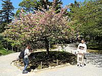 IMG 3722
