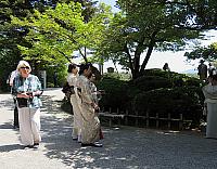 IMG 3731
