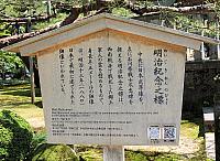IMG 3746