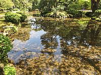 IMG 3753
