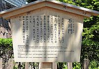 IMG 3773