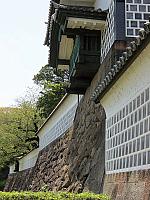 IMG 3774
