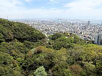 IMG 3426