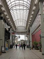 IMG 3446