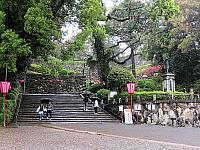 IMG 3463
