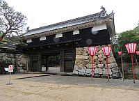 IMG 3465