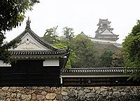 IMG 3473