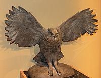 IMG 4148