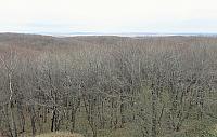 IMG 4170