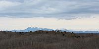 IMG 4172