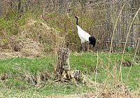 IMG 4178
