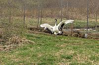 IMG 4190