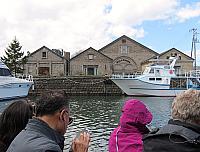 IMG 3942