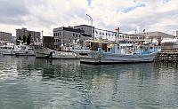IMG 3955
