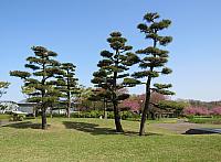 IMG 3794